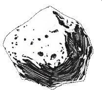 Asteroid